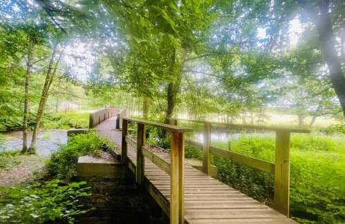 Ortheuville Casa | La balade en forêt - gîte 9 personnes en Ardenne