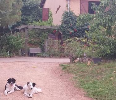 Montmelas-Saint-Sorlin Apartamento | La belle étape