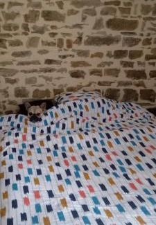 Couterne Cama Y Desayuno | La belle étoile