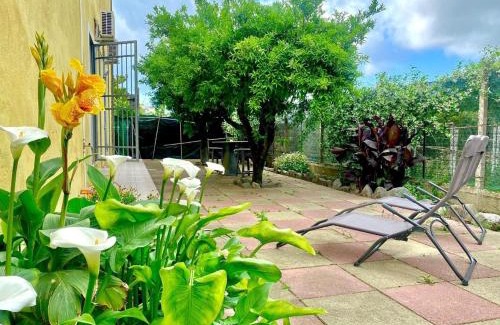 Acconia Cama Y Desayuno | La Bouganville B&B