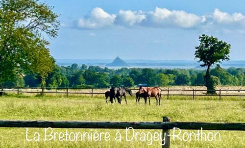Dragey-Ronthon Cama Y Desayuno | La Bretonniere