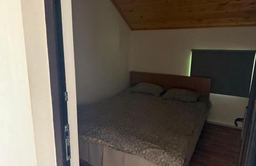 Tasca Casa | La Butuci