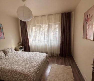 Vulcan Apartamento | La Căsă