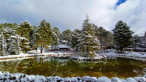 Riopar Chalet De Esquí | La cabaña del lago en ZAFIRO LAGUNAZO Parque Natural del Río Mundo
