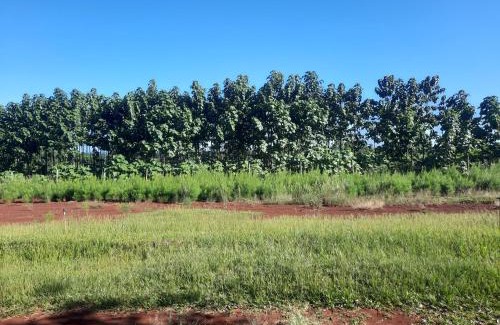 Garuhape Casa | La cabaña forestal - 3000 m2