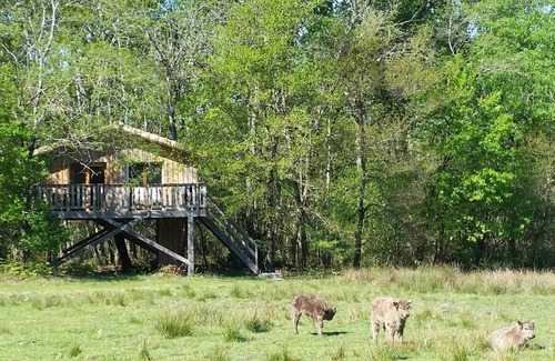 Cabanac-Et-Villagrains Otro | Vrbo Property