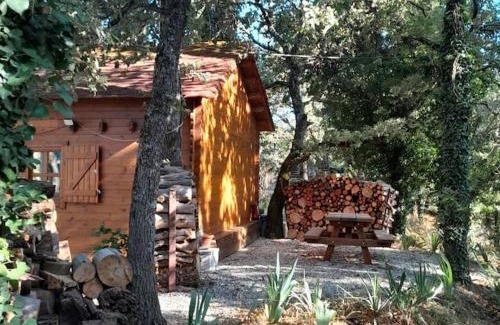 Tourves Chalet De Esquí | La cabane en bois