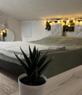 Mondonville Apartamento | La Cabane Végétale