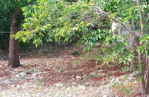 Spanish Town Apartamento | La Caridad Hostal Jamaica