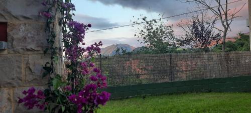Ardisana Casa | La casa de abajo