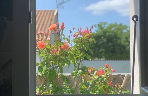 Le Chateau-d'Oleron Casa | La Casa de Babou
