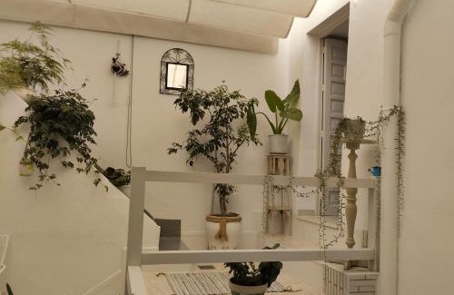 Alcala de los Gazules Casa | La casa de loto