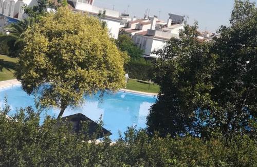 Mairena del Aljarafe Casa | La Casa de Las Flores