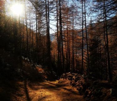 Valtournenche Apartamento | la casa dei nonni