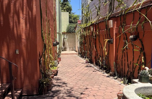 Ruta Independencia Casa | La Casa del Árbol - Centro Histórico Oaxaca