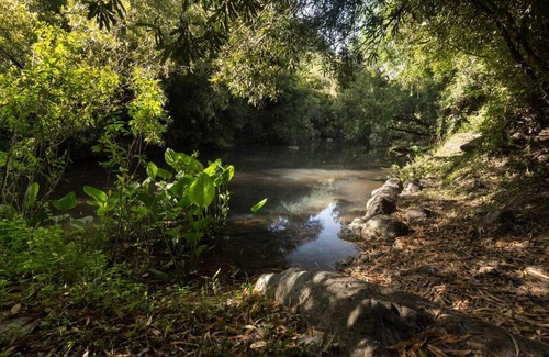 Carmelo Casa | La Casa del Bosque Carmelo