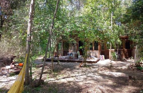 El Ensueno Casa | La casa del bosque