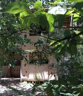 El Ensueno Casa | La casa del bosque
