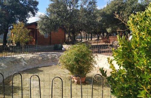 Olocau del Rey Casa | La casa del estanque