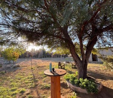 Chilecito Casa | La Casa del Hornero en Chilecito