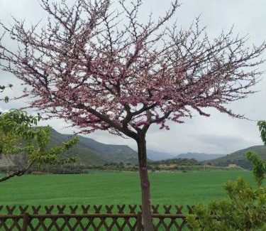 Olocau del Rey Casa | La Casa Del Llano