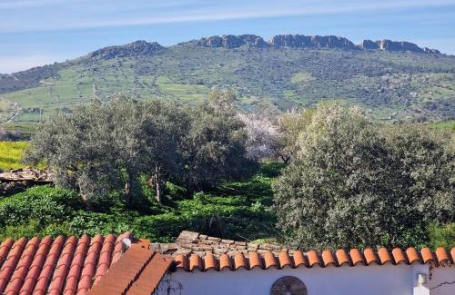 Zafra Old Town Apartamento | La casa del patio ATBA00260