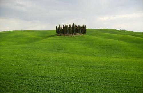 Vivo dʼOrcia Apartamento | La Casa di Adelina
