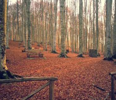 Vivo dʼOrcia Apartamento | La Casa di Adelina
