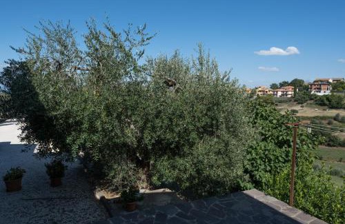 Citta della Pieve Apartamento | La Casa di Sara