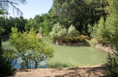 Civitella in Val di Chiana Casa | La Casa nel Bosco