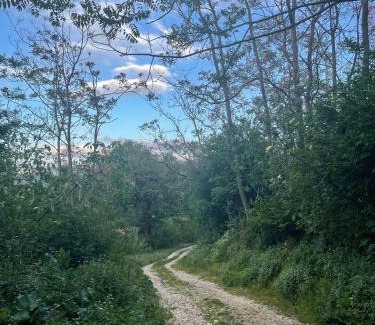 Civitella Messer Raimondo Apartamento | La Casa sul lago - Appartamento Glicine - Parco della Majella