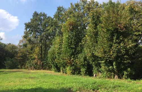 San Fermo della Battaglia Apartamento | La casa di Ale