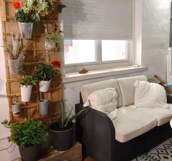 Alcorrin Casa | La casa Mariposa, UNIQUEMENT 1chambre et 1sdb privées dans un appartement partagé chez l'habitant