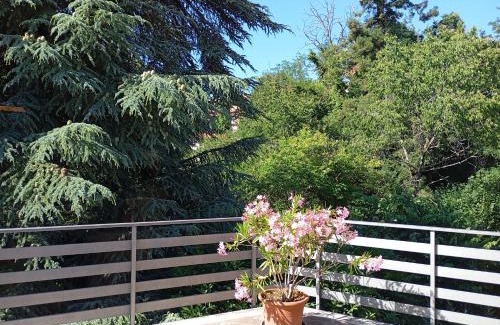 Fiuggi Apartamento | La casa tra gli alberi
