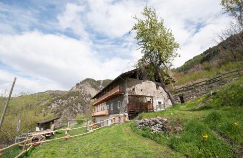 Saint-Pierre Apartamento | La Cascina d'Orleans