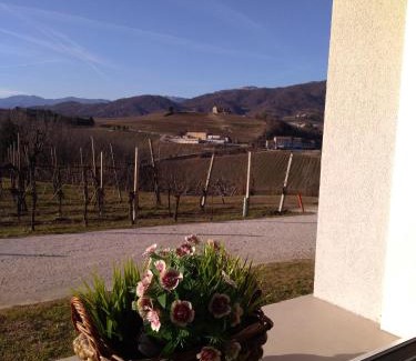 Carpesica Casa | La Casetta