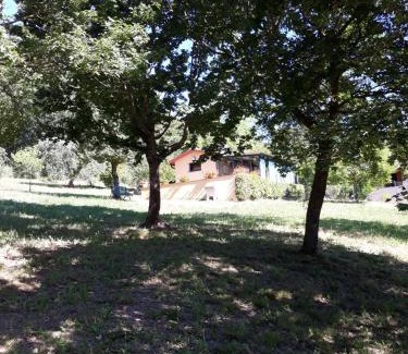 Campestri Chalet De Esquí | La casetta nel prato
