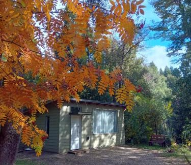 San Carlos de Bariloche Chalet De Esquí | La casita del bosque