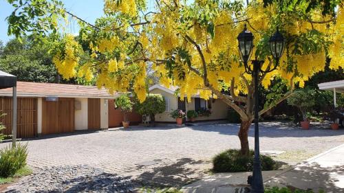 Los Gavilanes Apartamento | La Casita de Fraida