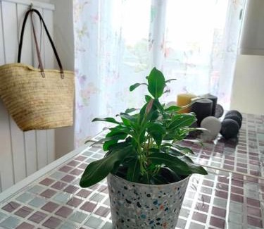 Fuenmayor Casa | La Casita de Ivanna