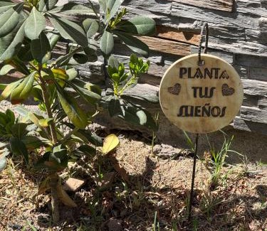 Tinogasta Apartamento | La casita del Olivo