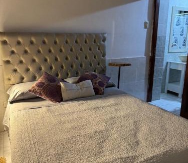 Tinogasta Apartamento | La casita del Olivo