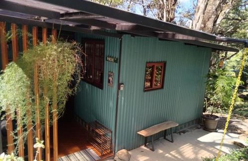 Jaramillo Apartamento | La Casita Verde