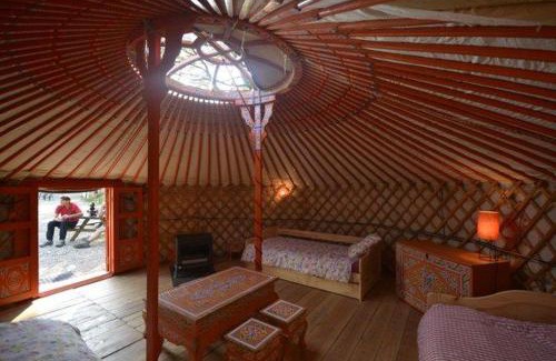 Cassagnas Otro | La chevrerie des felges