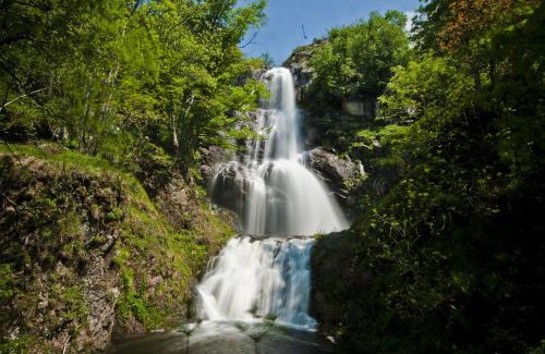 Cassagnas Otro | La chevrerie des felges