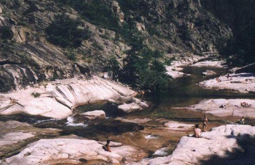 Cassagnas Otro | La chevrerie des felges