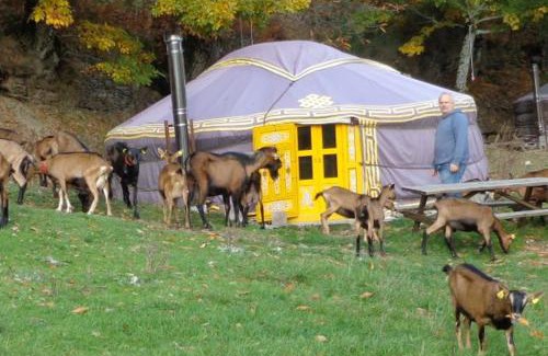 Cassagnas Otro | La chevrerie des felges