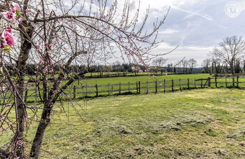 Saint-Symphorien-des-Bois Casa | La Cigale du Soleil - SAINT SYMPHORIEN DES BOIS