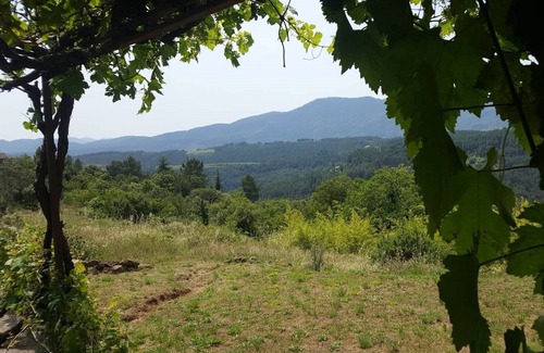 Saint-Pierre-Saint-Jean Casa | "La cigale et les fourmis" pretty bungalow, sleeps 2, private pool