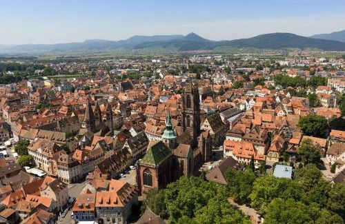 Selestat Apartamento | la cigogne d'Alsace 1